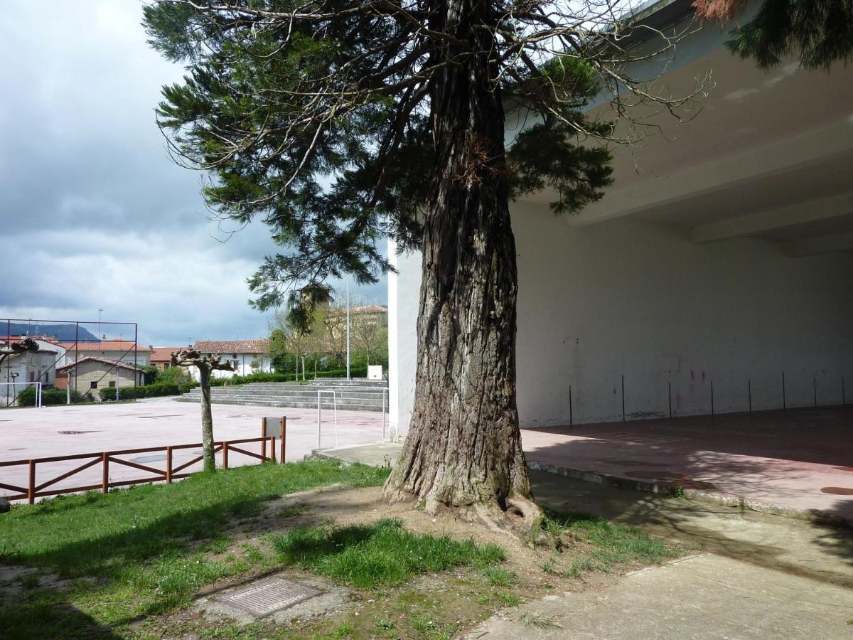 Apartamentos Rurales Imaz Etxea - Urbasa Olazagutía 部屋 写真